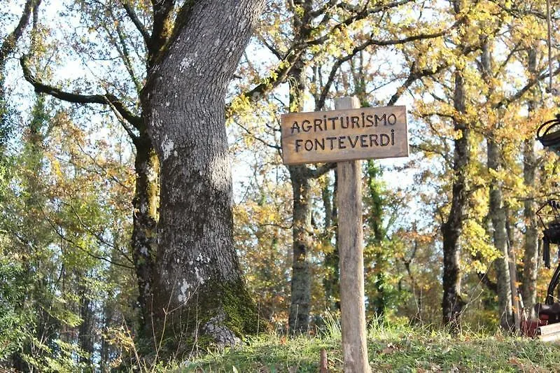 Farm stay Agriturismo Fonteverdi Villa Boccheggiano