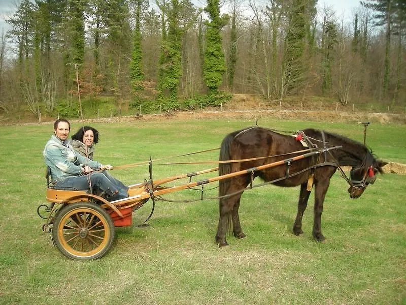 Agriturismo Fonteverdi Boccheggiano 0*,  Olaszország
