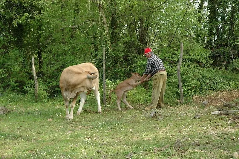 Agriturismo Fonteverdi Boccheggiano Olaszország